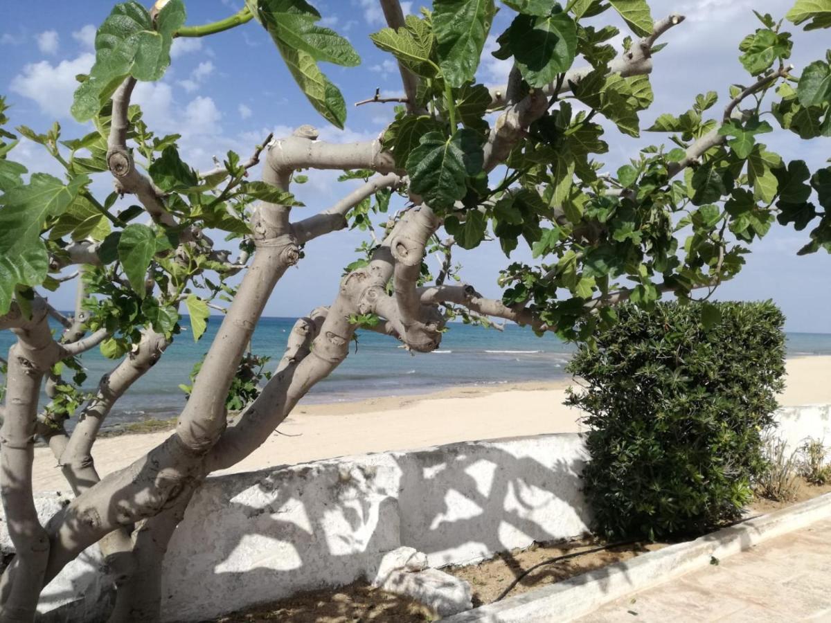 Apartament Dimora Grazia In Riva Al Mare Monopoli Zewnętrze zdjęcie